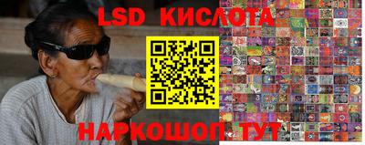 индика Пенза