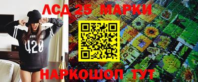 индика Пенза