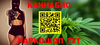 индика Пенза