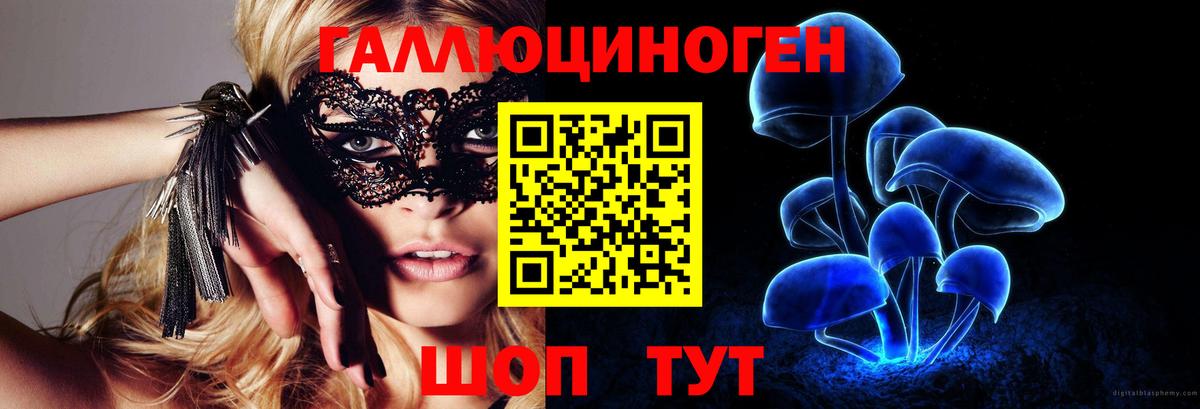 Псилоцибиновые грибы GOLDEN TEACHER Семилуки