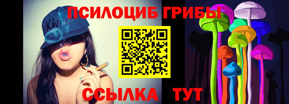 Семилуки  Псилоцибиновые грибы Psilocybine cubensis  Вход с VPN  Псилоцибиновые грибы ЛСД 